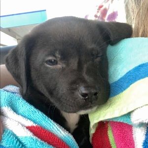 Meet your Posher, Ryan